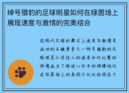 绰号猎豹的足球明星如何在绿茵场上展现速度与激情的完美结合