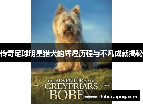 传奇足球明星猎犬的辉煌历程与不凡成就揭秘
